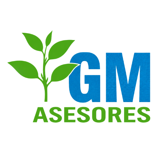 GM Asesores